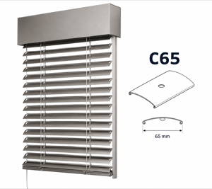 Cetta C65